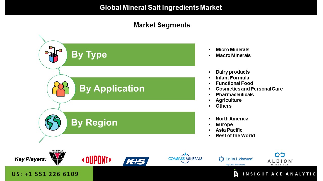 Mineral Salt Ingredients Market