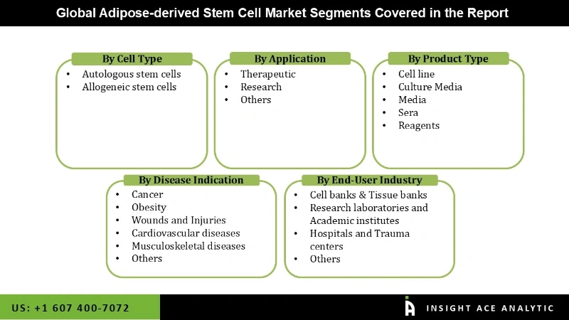 adipose derived  Market Segmentation Analysis