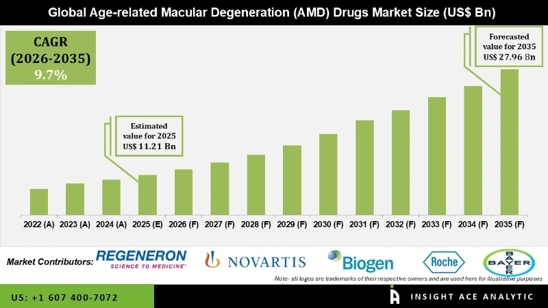 Age-related Macular Degeneration (AMD) Drugs Market Infographics