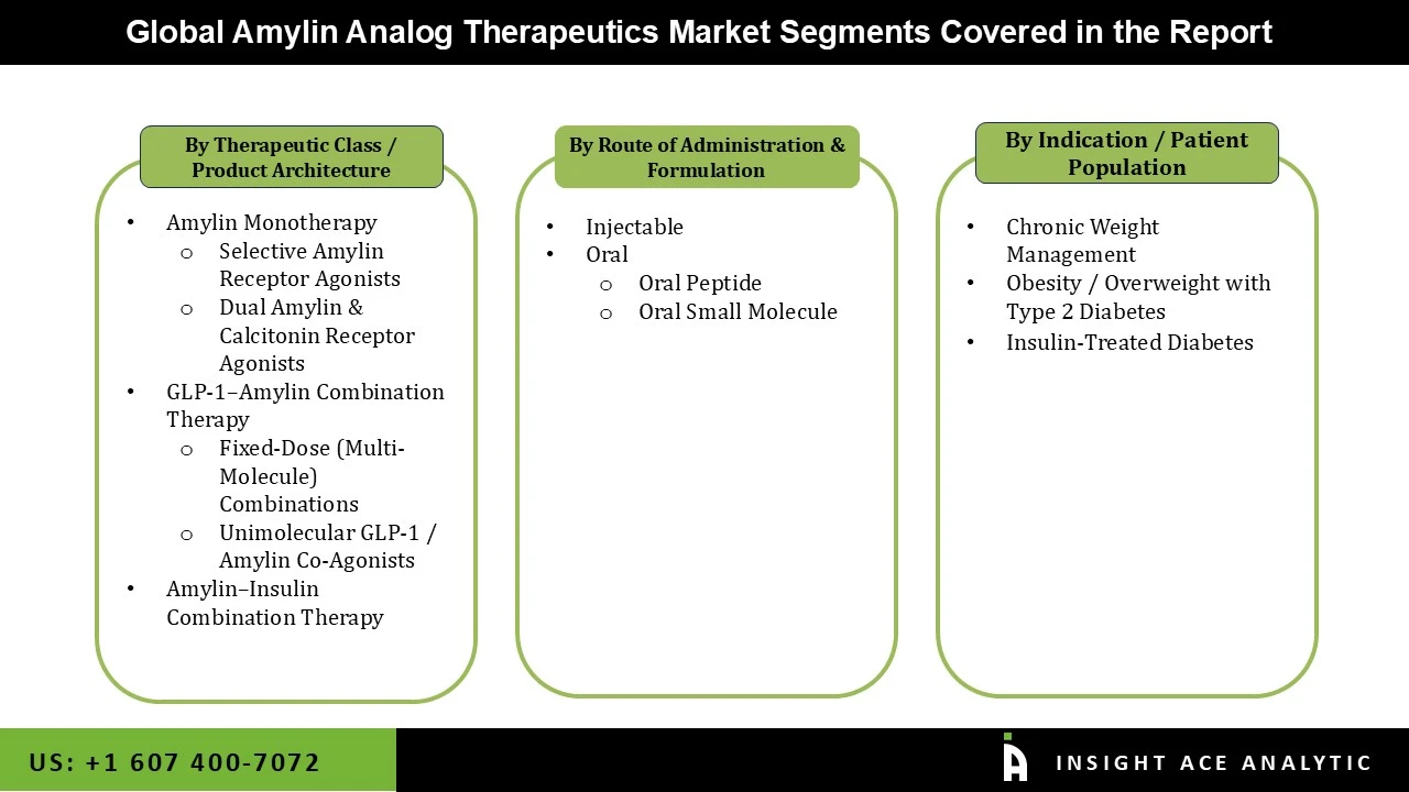 Amylin Analog Therapeutics Market seg Amylin Analog Therapeutics Market seg