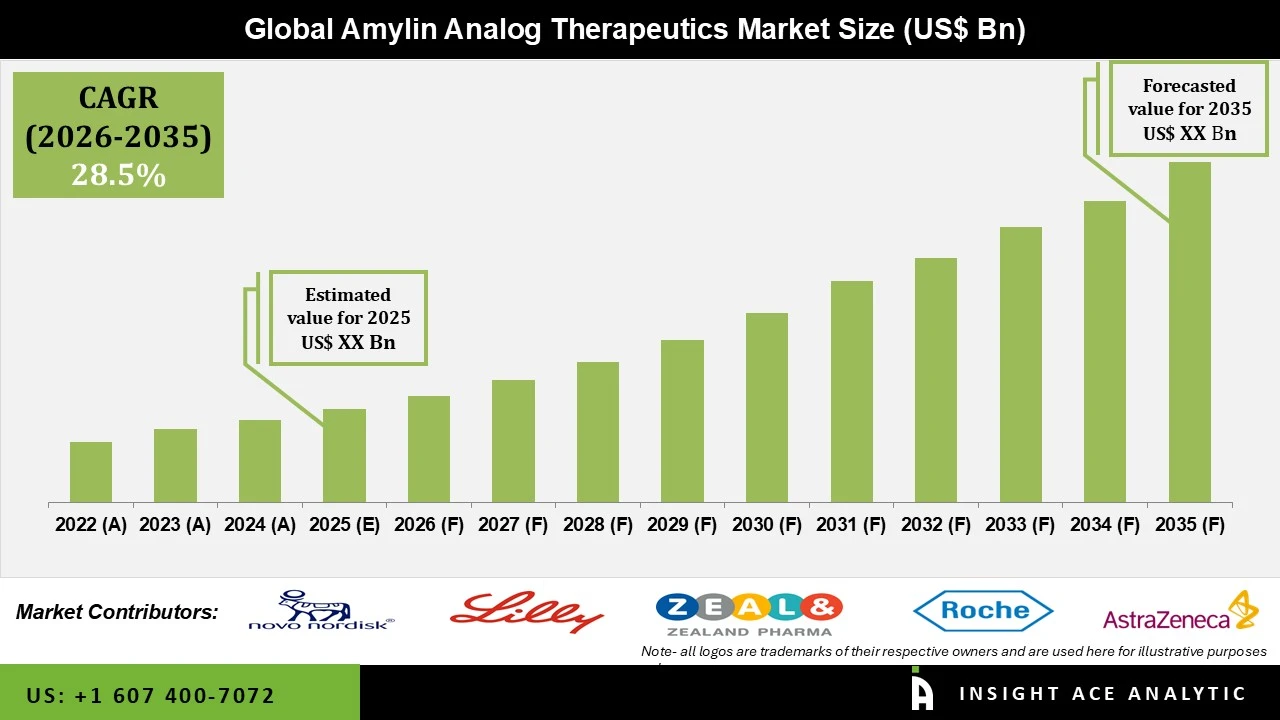 Amylin Analog Therapeutics Market Amylin Analog Therapeutics Market