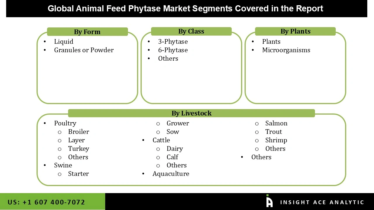 Animal Feed Phytase Market 