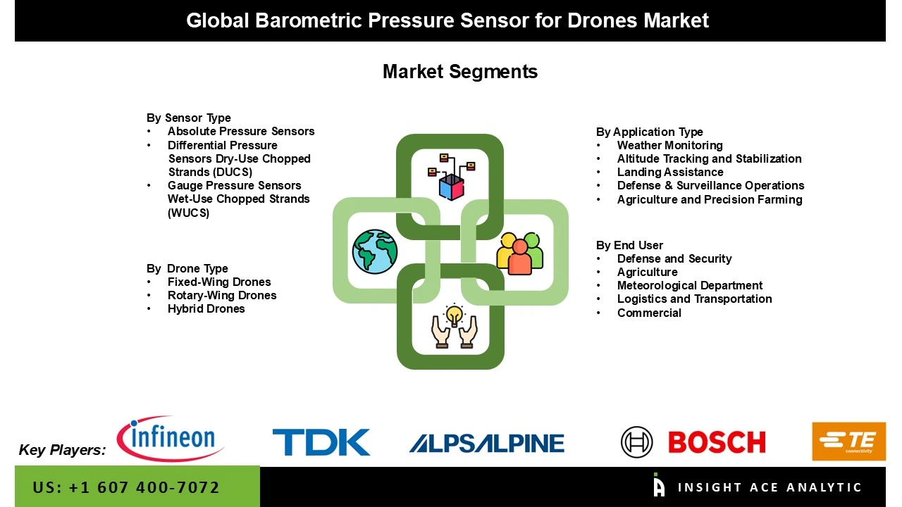 Barometric Pressure Sensor for Drones Market  Seg Barometric Pressure Sensor for Drones Market