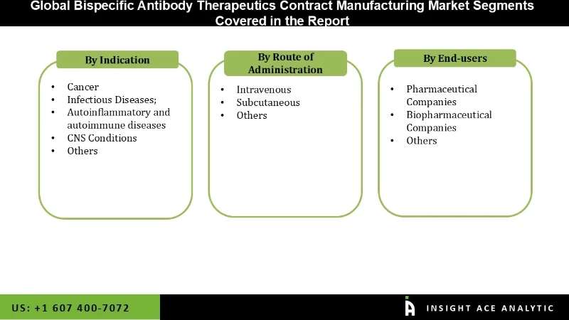 Bispecific Antibody Therapeutics Contract Manufacturing Market segmentation