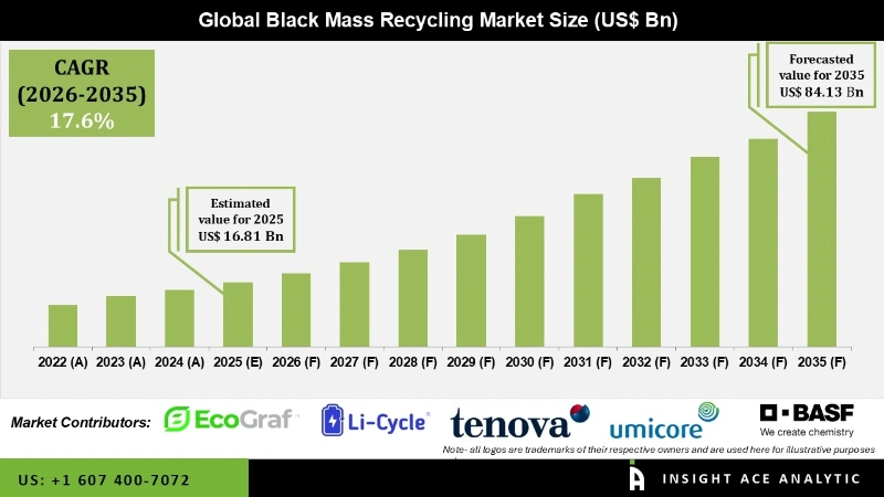 Black Mass Recycling Market Infographics