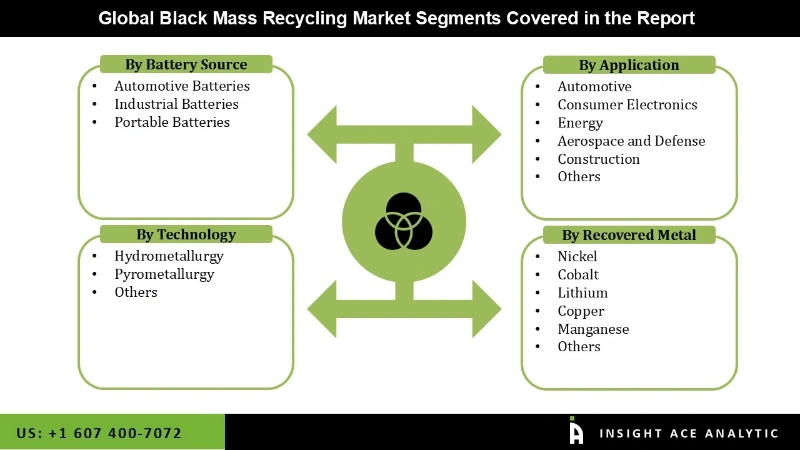 Black Mass Recycling Market Segmentation Analysis