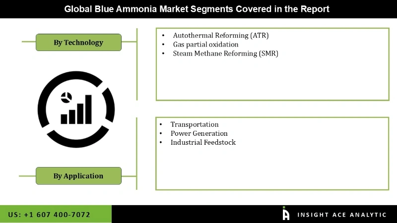 blue ammonia market Segmentation Analysis
