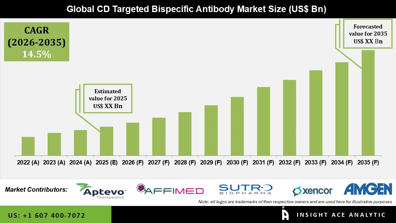 CD Targeted Bispecific Antibody Market Size CD Targeted Bispecific Antibody Market