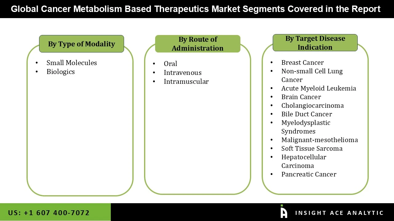 Cancer Metabolism Based Therapeutics Market seg
