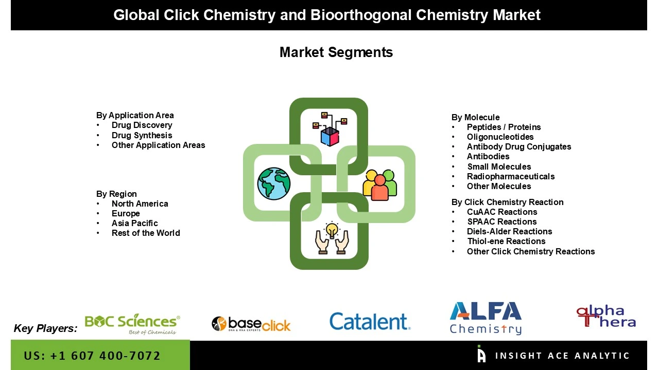 Click Chemistry and Bioorthogonal Chemistry Market seg
