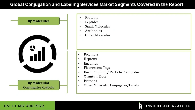 Conjugation and Labeling Services Market seg