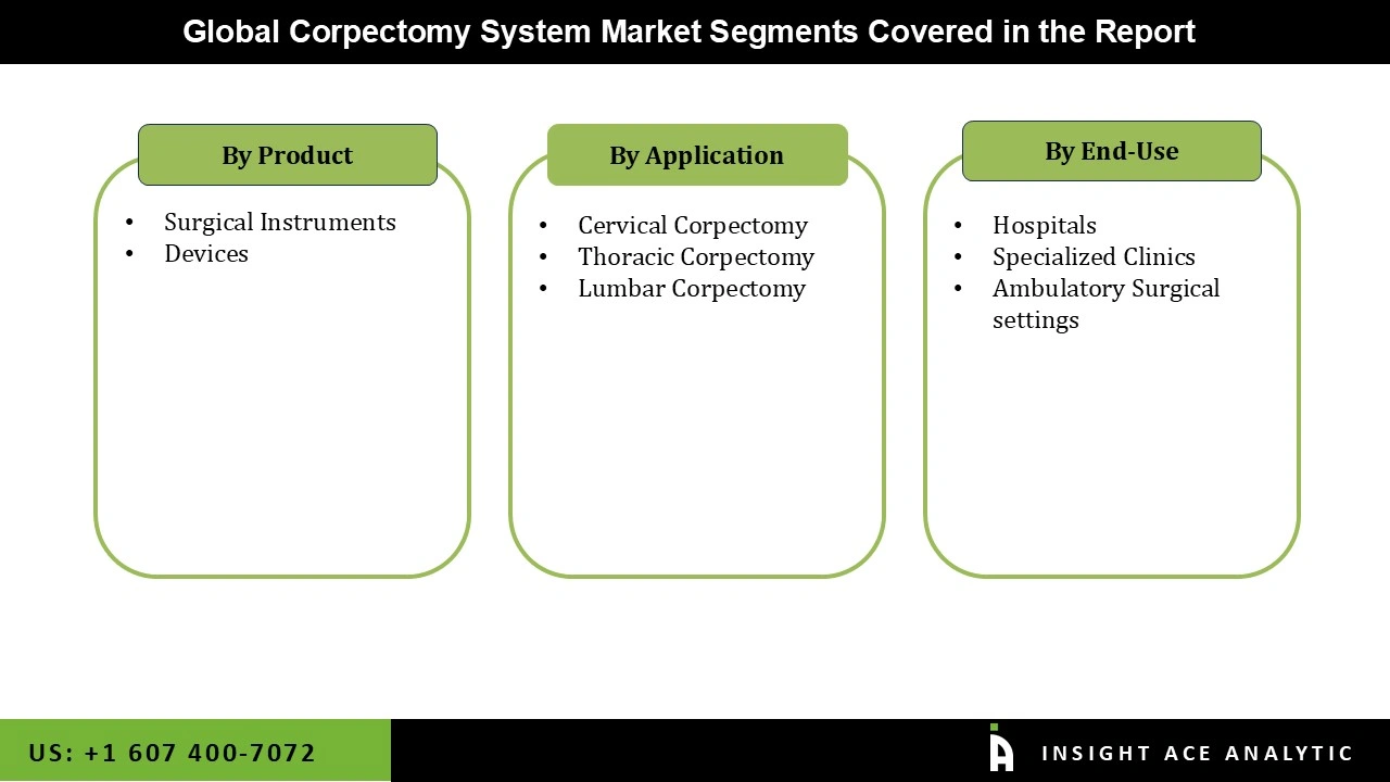 Corpectomy System Market Segmentations Corpectomy System Market
