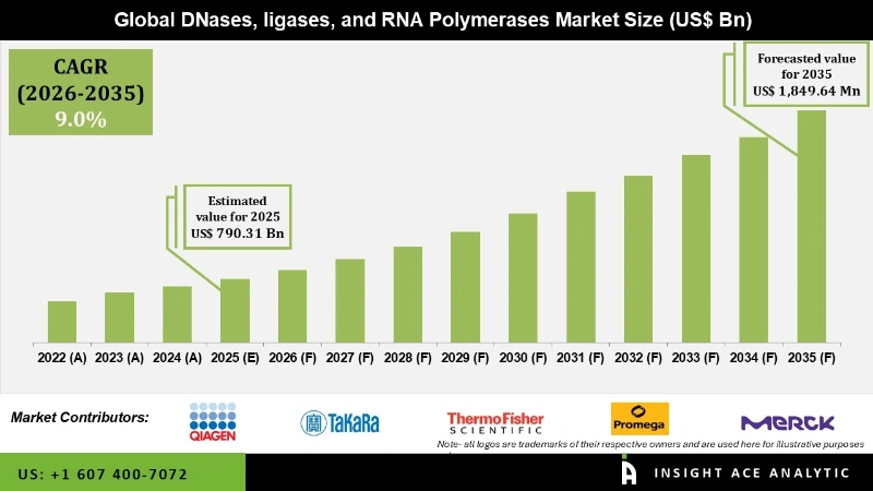 DNases, ligases, and RNA Polymerases Market info