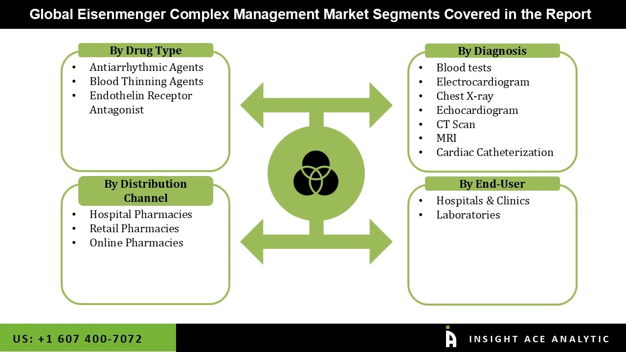 Eisenmenger Complex Management Market seg Eisenmenger Complex Management Market seg