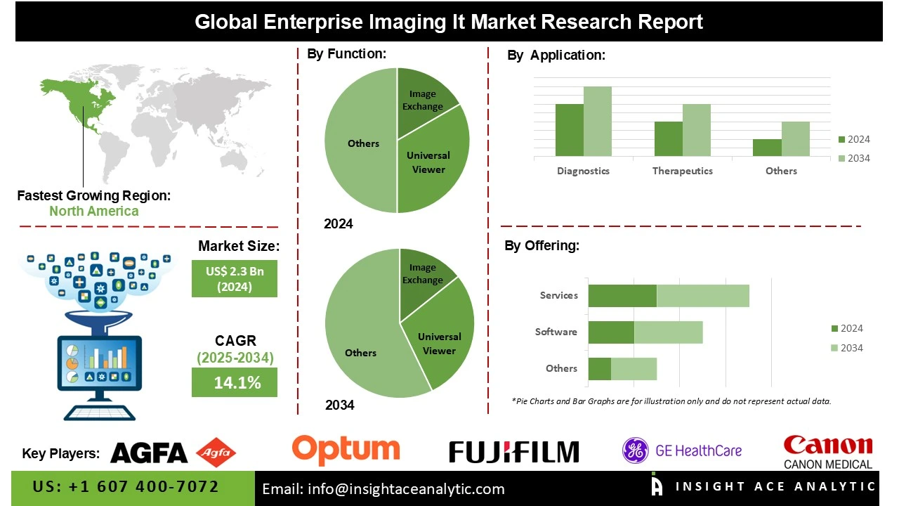 Enterprise Imaging IT Market 