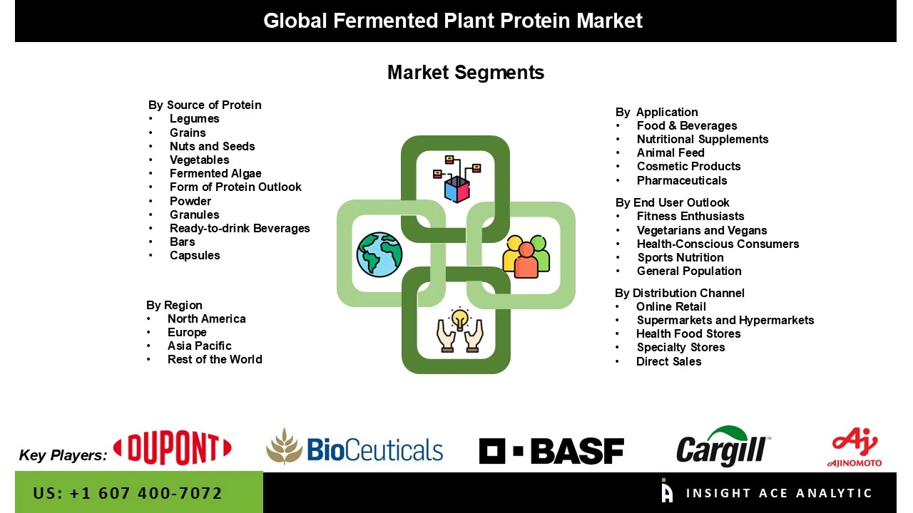 Fermented Plant Protein Market segment