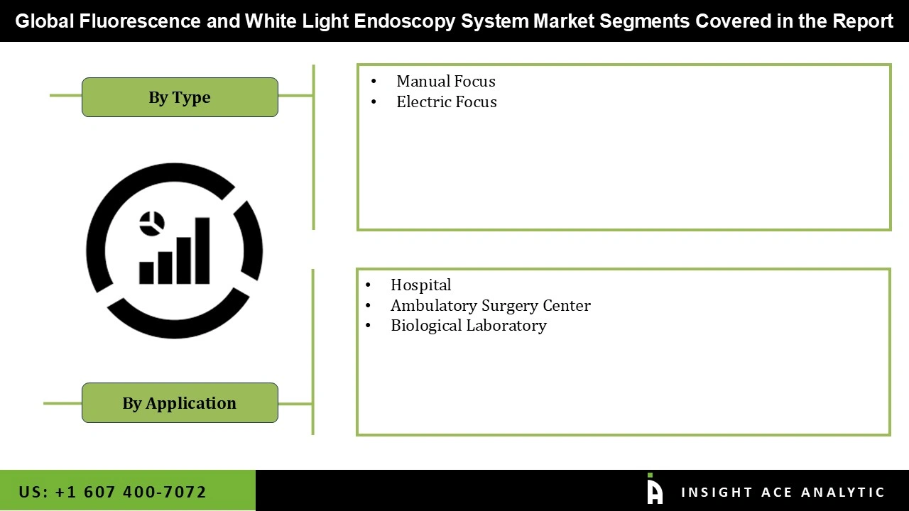 Fluorescence and White Light Endoscopy System Market Segmentations Fluorescence and White Light Endoscopy System Market