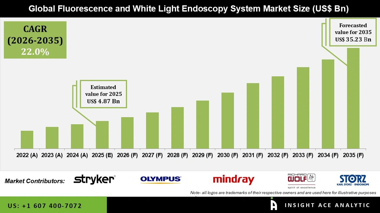 Fluorescence and White Light Endoscopy System Market Size Fluorescence and White Light Endoscopy System Market