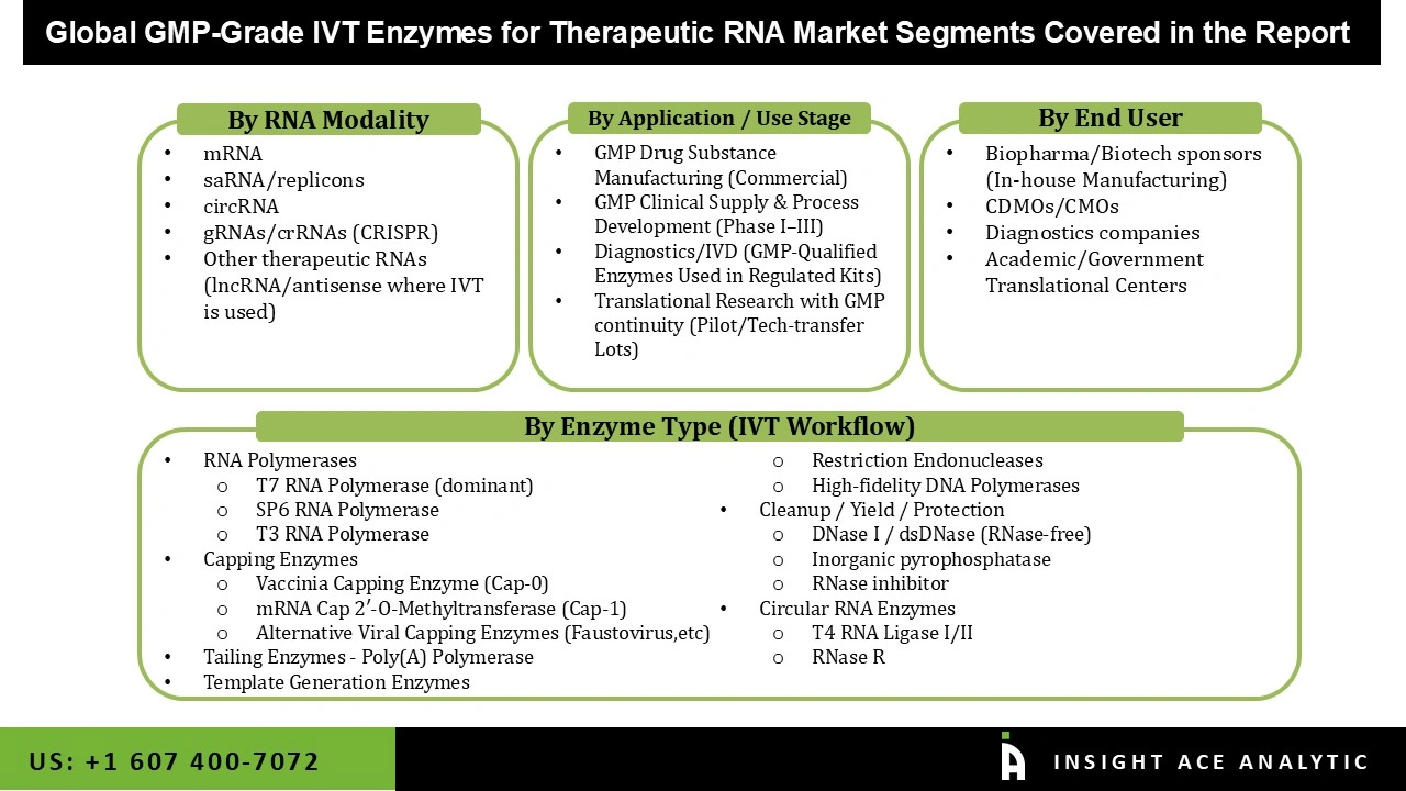GMP Grade IVT Enzymes for Therapeutic RNA Market Segmentations GMP Grade IVT Enzymes for Therapeutic RNA Market