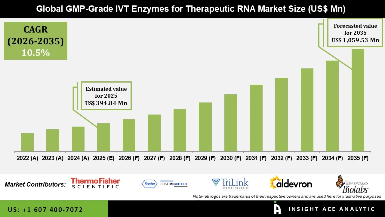 GMP Grade IVT Enzymes for Therapeutic RNA Market size GMP Grade IVT Enzymes for Therapeutic RNA Market