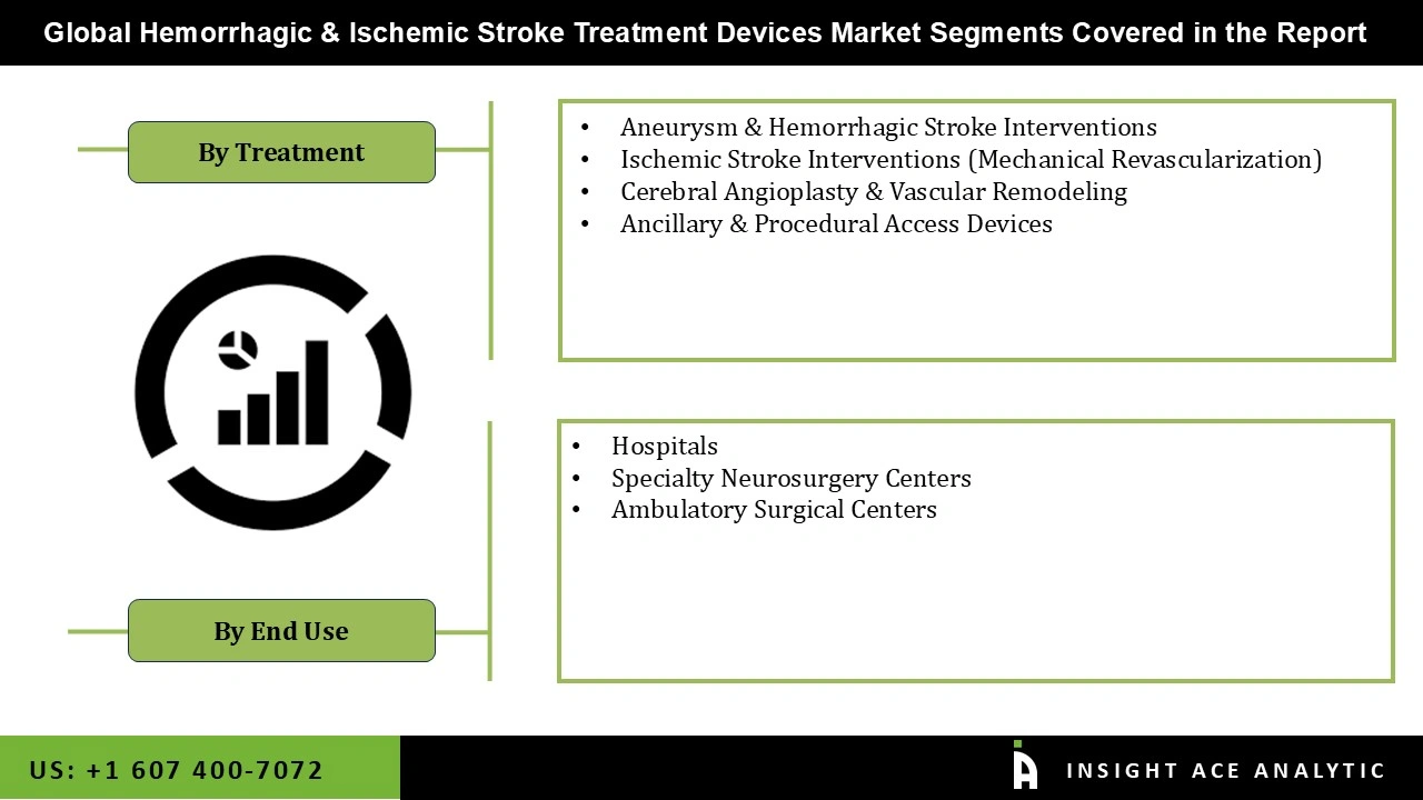 Hemorrhagic & Ischemic Stroke Treatment Devices Market Segmentations Hemorrhagic & Ischemic Stroke Treatment Devices Market