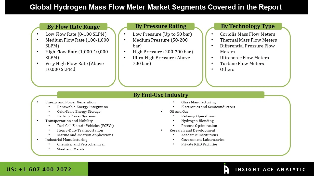 Hydrogen Mass Flow Meter Market seg