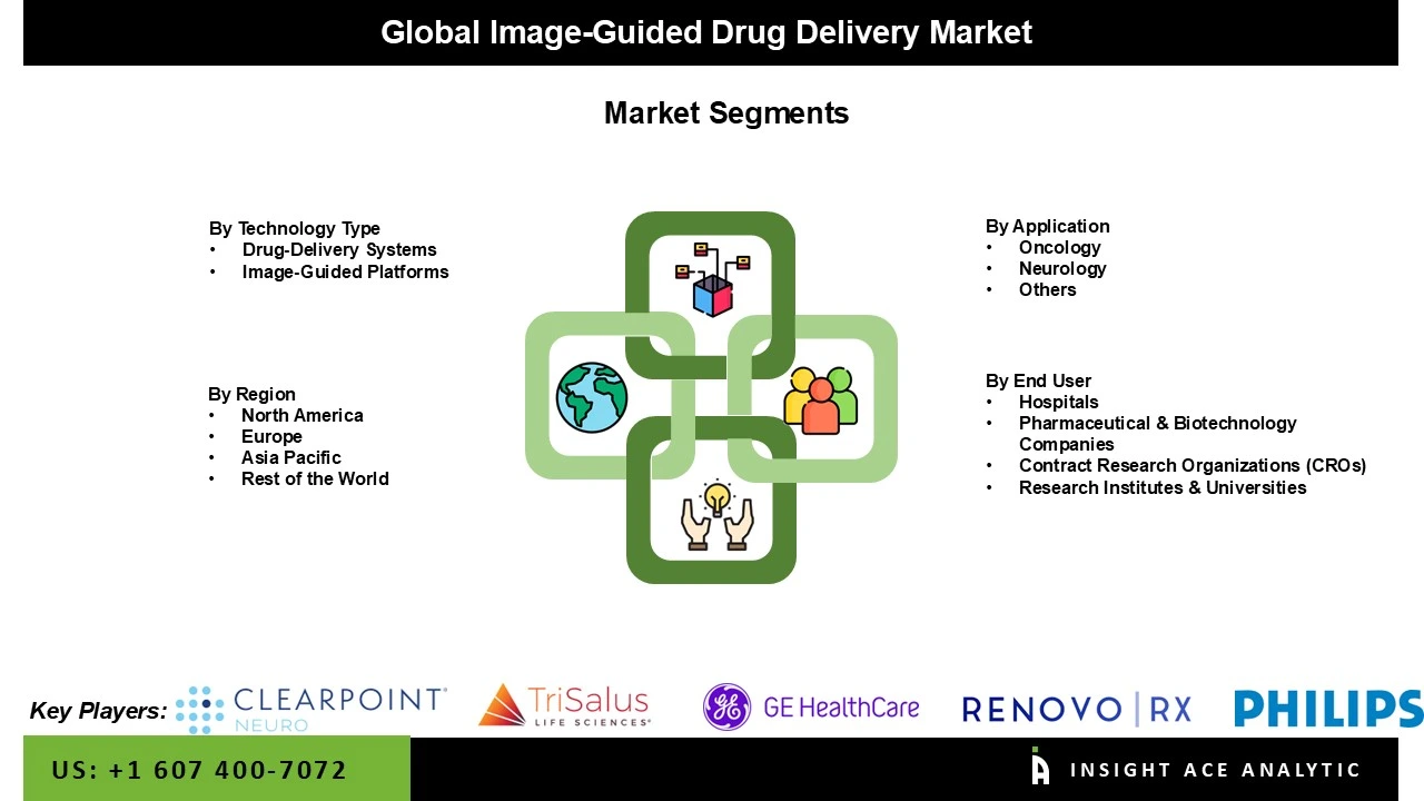 Image-Guided Drug Delivery Market seg