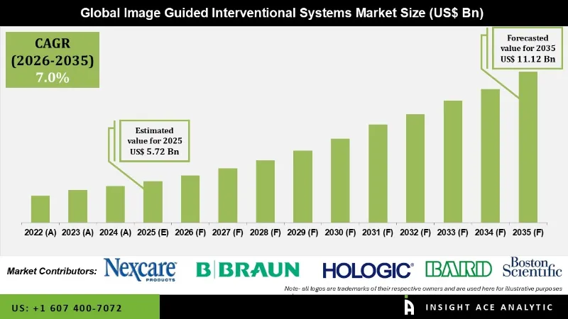 Image Guided Interventional Systems Market info