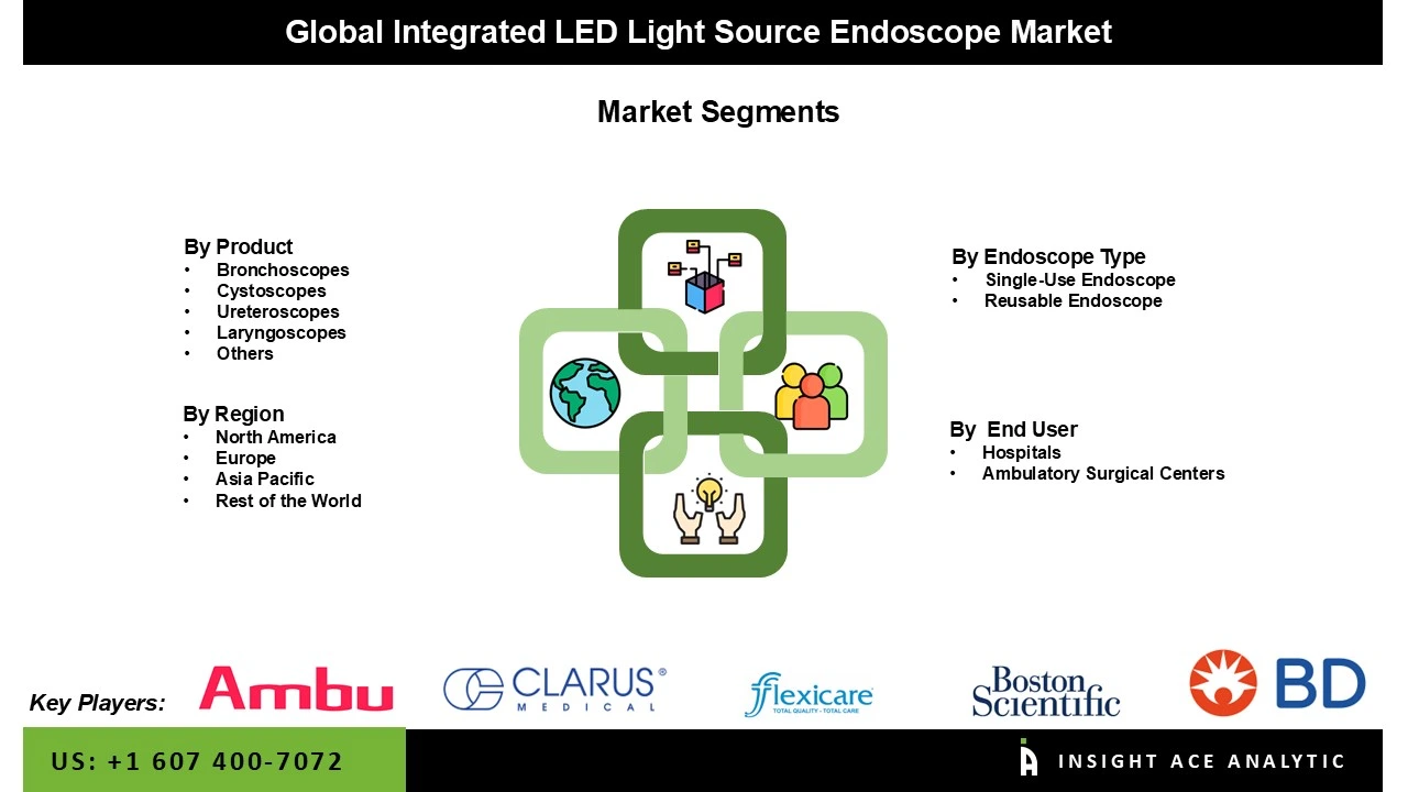 Integrated LED Light Source Endoscope Market segment