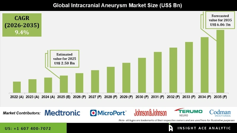Intracranial Aneurysm Market Infographics Intracranial Aneurysm Market Infographics