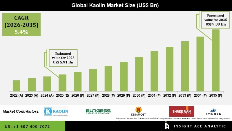 Kaolin Market Infographics