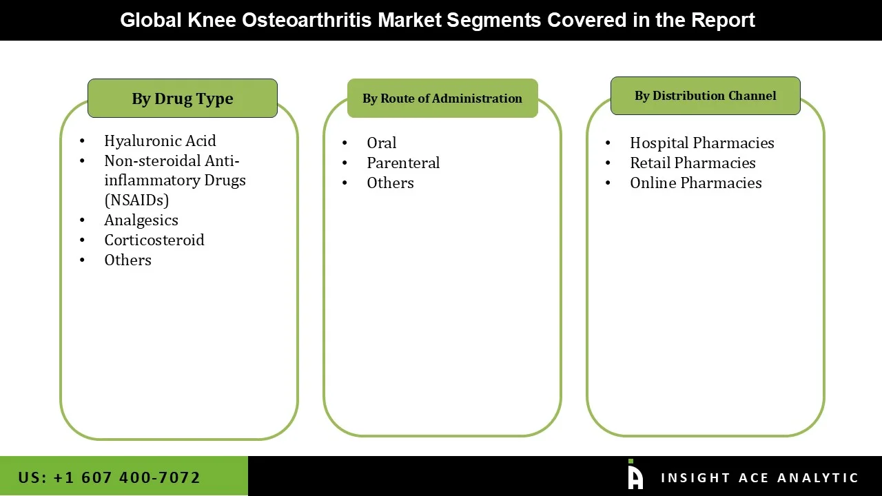 Knee Osteoarthritis Market Segmentations Knee Osteoarthritis Market