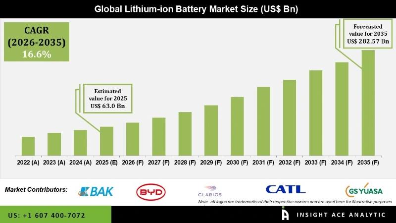 lithium ion battery Market Infographics