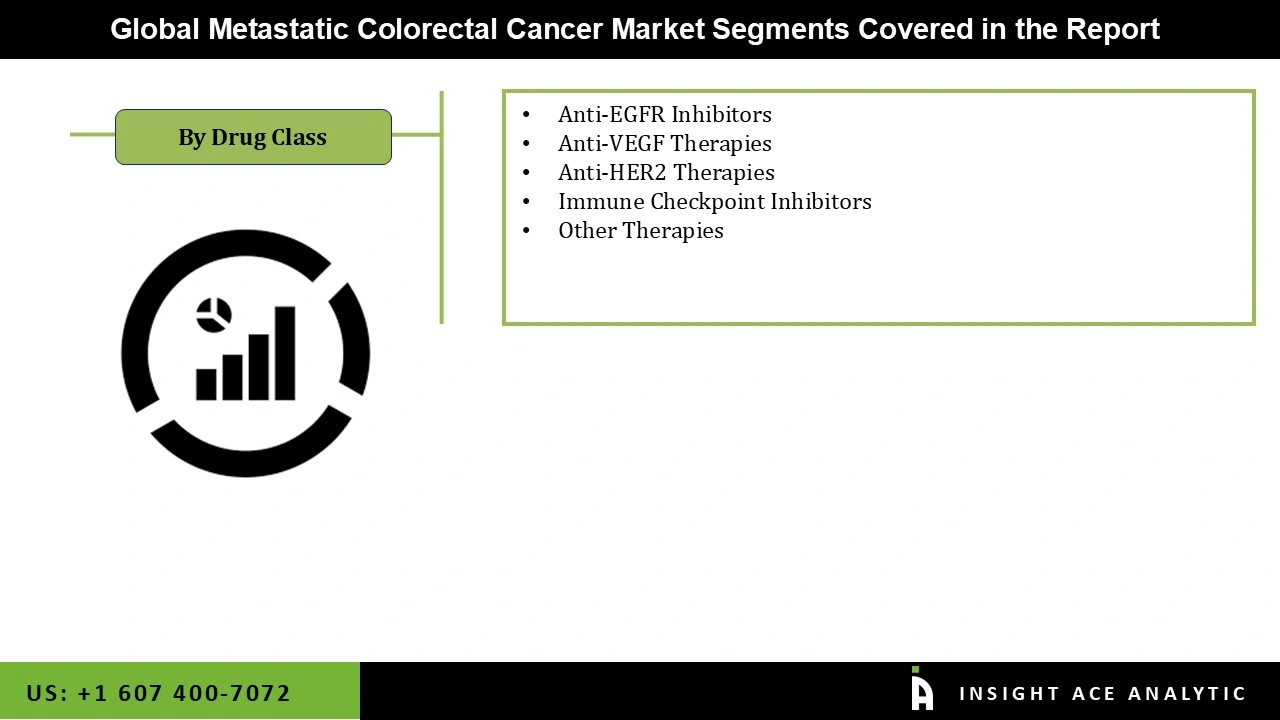 Metastatic Colorectal Cancer Market Segementations Metastatic Colorectal Cancer Market