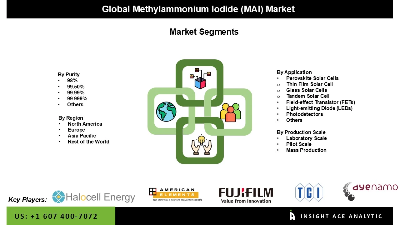 Methylammonium Iodide (MAI) Market SEG