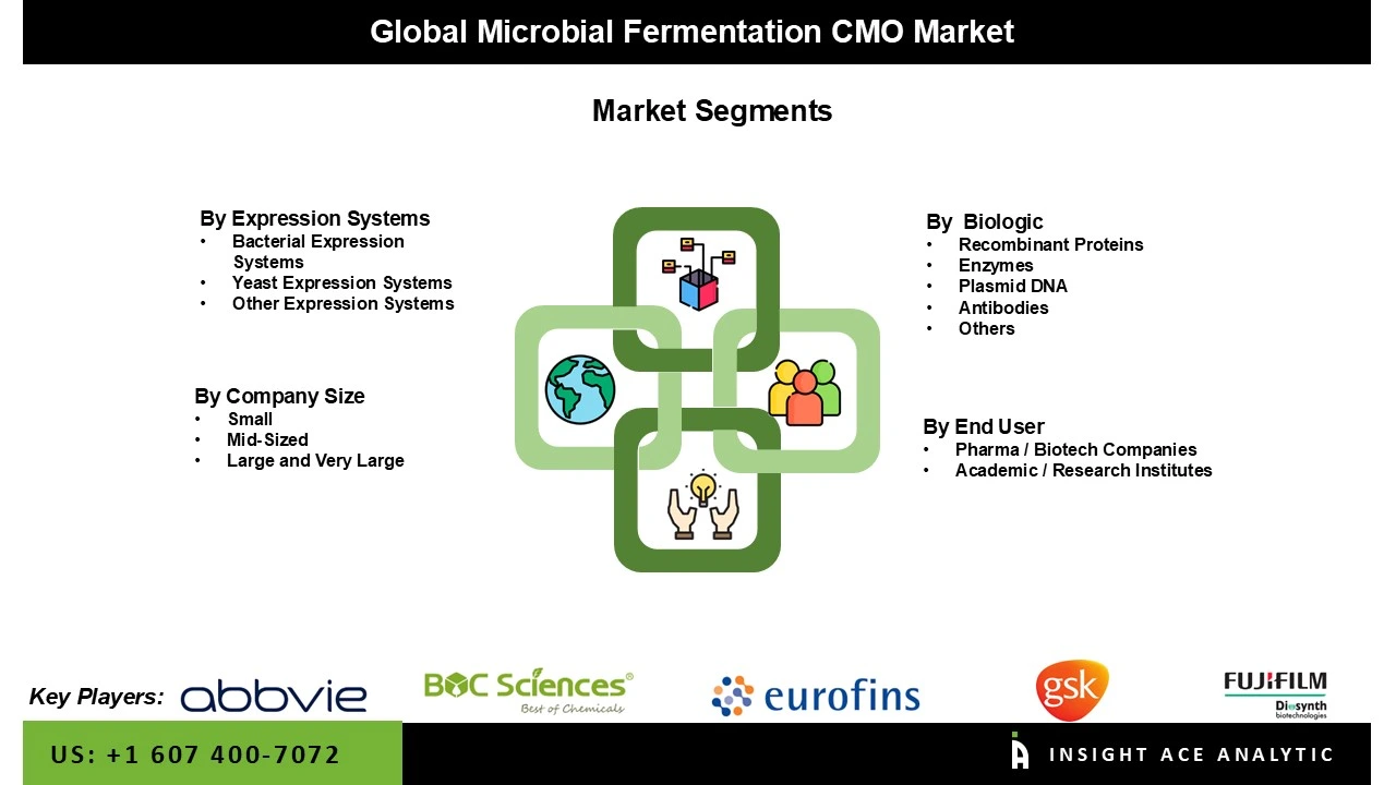 Microbial Fermentation CMO market segment