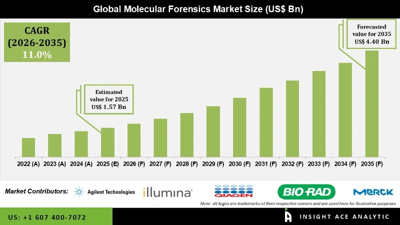 molecular forensics Market Infographics molecular forensics Market Infographics
