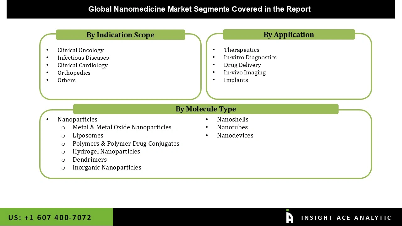 Nanomedicine Market Segemntations Nanomedicine Market