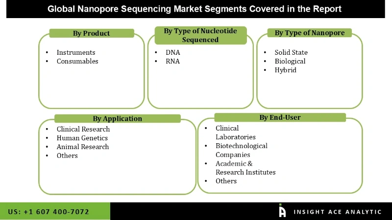 Nanopore Sequencing Market Segmentation Analysis
