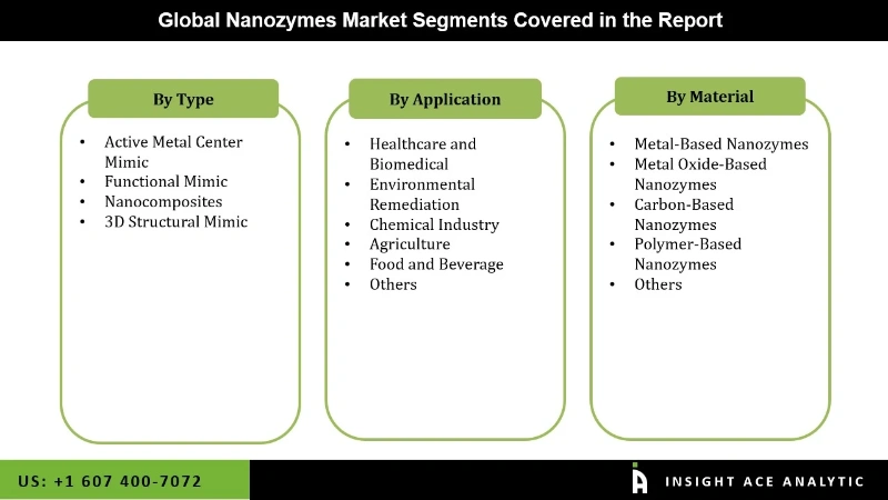 Nanozymes Market Segment Nanozymes Market Segment