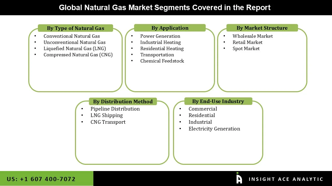 Natural Gas Market Segmentations Natural Gas Market