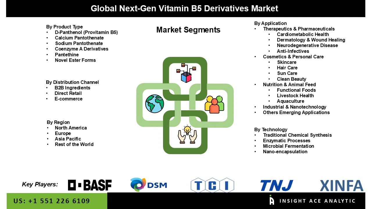 Next-Gen Vitamin B5 Derivatives Market seg Next-Gen Vitamin B5 Derivatives Market seg