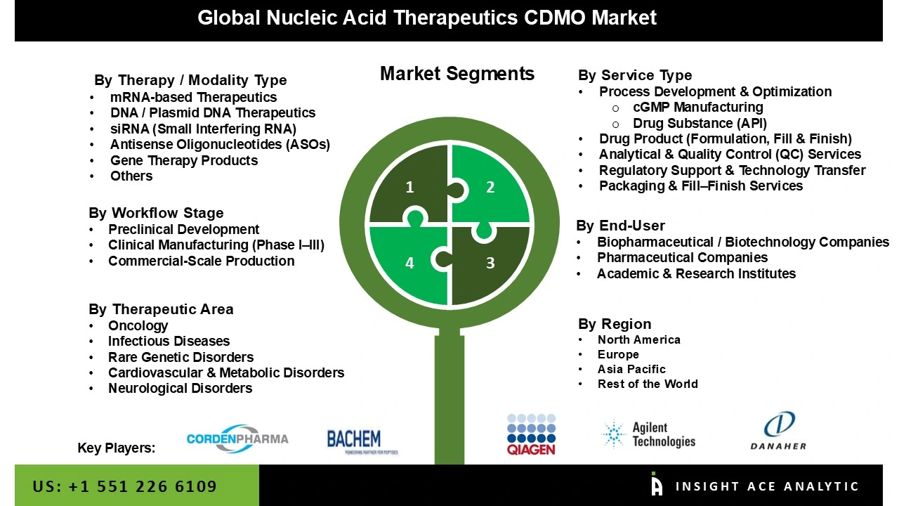 Nucleic Acid Therapeutics CDMO Market Seg Nucleic Acid Therapeutics CDMO Market Seg