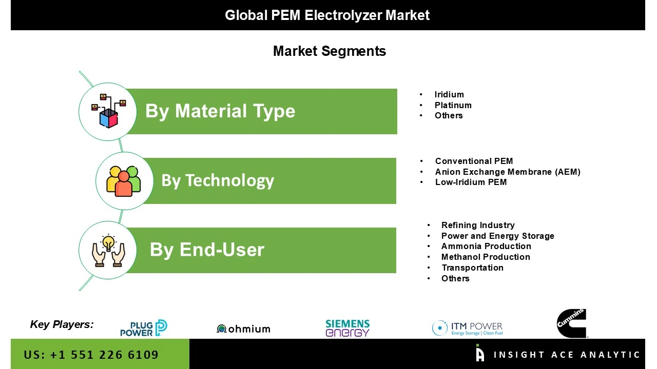 PEM Electrolyzer Market Seg PEM Electrolyzer Market