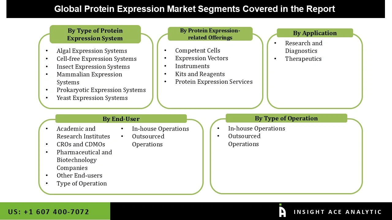 Protein Expression Market 