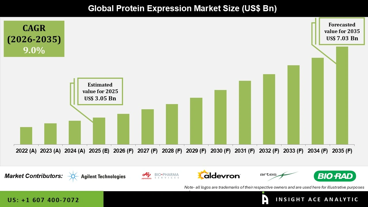 Protein Expression Market 