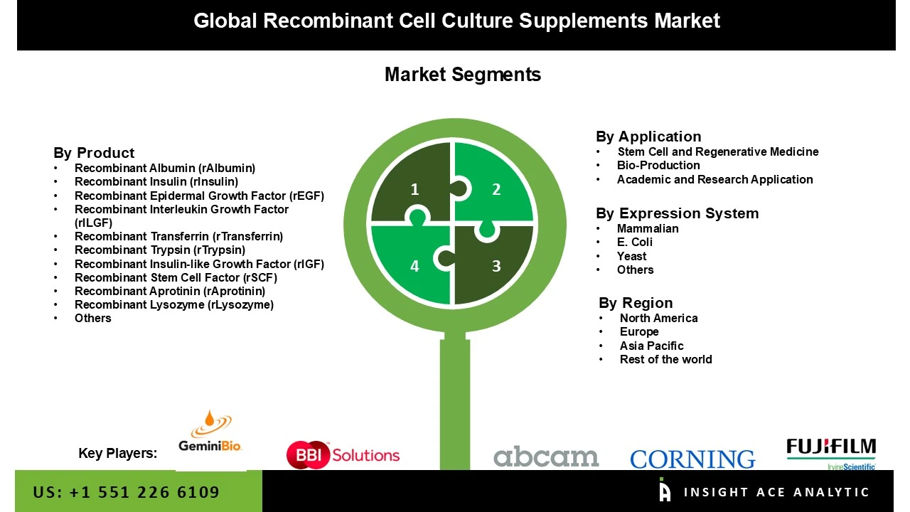 Recombinant Cell Culture Supplements Market