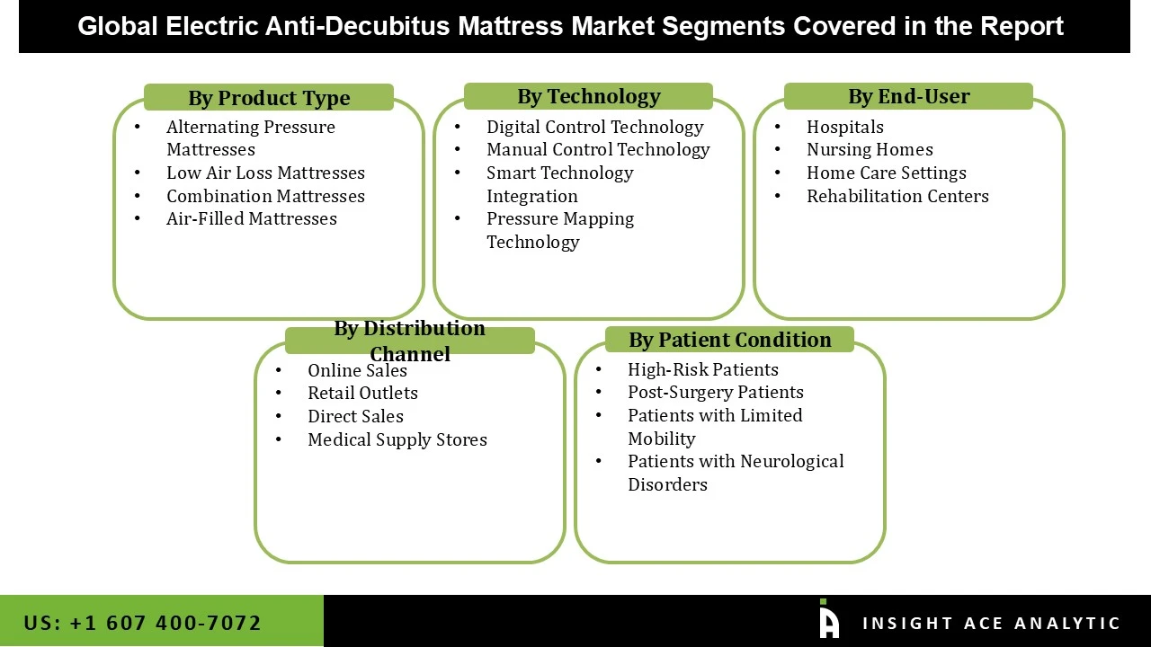 Electric Anti-Decubitus Mattress Market Seg Electric Anti-Decubitus Mattress Market