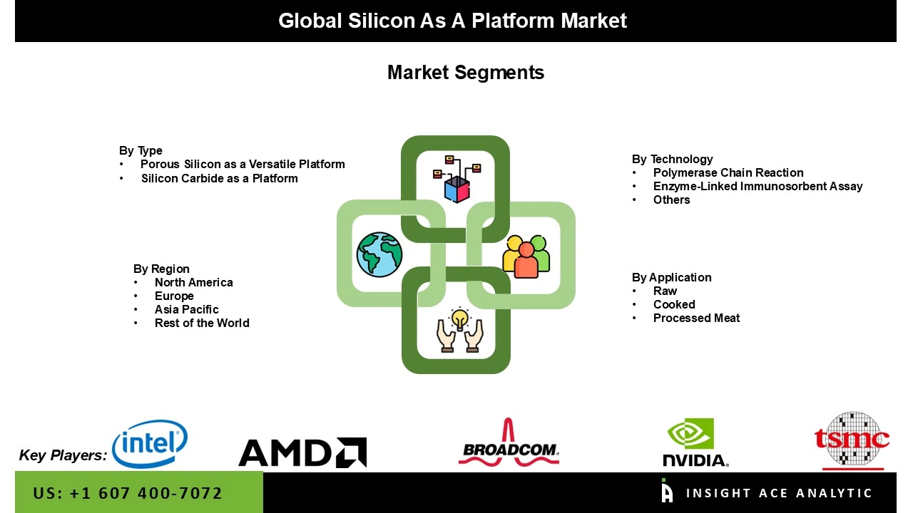 Silicon-as-a-Platform Market segment