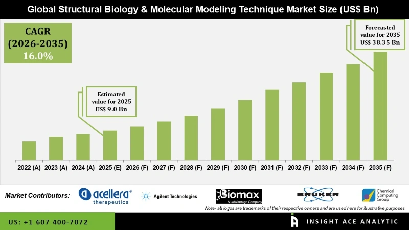 Structural Biology & Molecular Modeling Technique Market Infographics